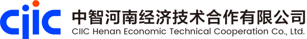 中智河南全稱電子版